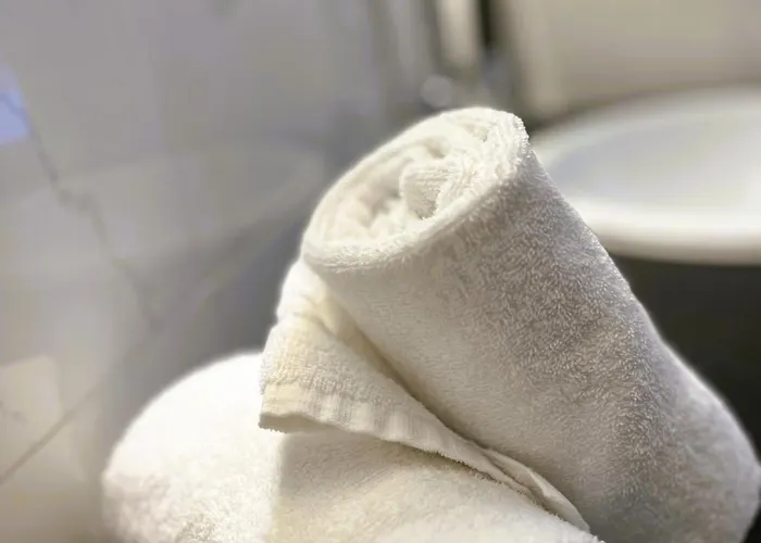 Moselhotel Roemischer Kaiser 'staffuntil5pm'earlybirdbreakfast'cityparking מלון